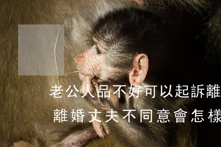 老公人品不好可以起訴離婚嗎(如果老婆起訴離婚丈夫不同意會怎樣)
