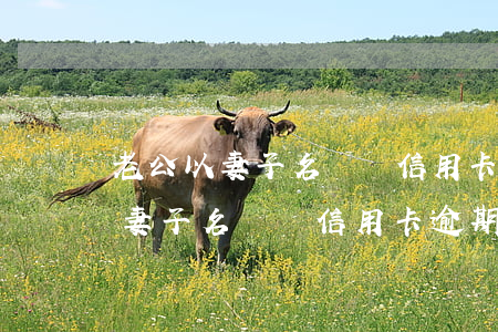 老公以妻子名義辦信用卡逾期起訴-老公以妻子名義辦信用卡逾期起訴離婚