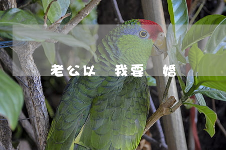 老公以為我要離婚