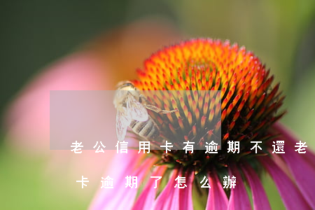 老公信用卡有逾期不還(老公坐牢了他的信用卡逾期了怎么辦)