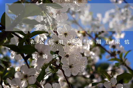 老公信用卡有逾期后果(信用卡逾期对配偶有影响吗)