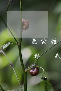 老公信用卡有逾期房貸(我信用卡逾期會不會影響我老公)