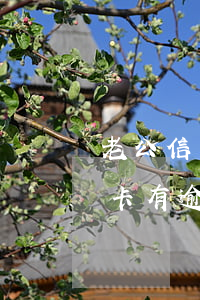 老公信用卡有逾期會連累老婆嗎-老公信用卡有逾期會連累老婆嗎知乎