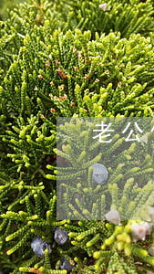 老公信用卡欠三十万逾期五年了
