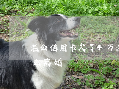 老公信用卡欠了4万(老公信用卡欠了4万怎么离婚)
