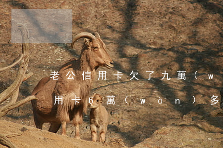老公信用卡欠了九萬(wàn)多(老公欠信用卡6萬(wàn)多塊會(huì)連累老婆嗎?)