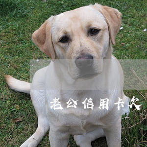 老公信用卡欠了好多錢(老公信用卡欠了好多錢)