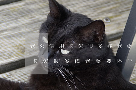 老公信用卡欠很多钱老婆要还吗-老公信用卡欠很多钱老婆要还吗怎么办