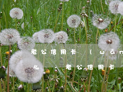 老公信用卡網(wǎng)貸欠了10萬怎么辦-老公信用卡網(wǎng)貸欠了10萬怎么辦呢