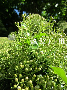 老公信用卡網(wǎng)貸逾期離婚有用嗎(網(wǎng)貸和信用卡逾期怎么辦)