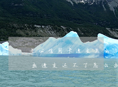 老公信用卡透支怎么办理(老公拿我的信用卡去透支还不了怎么办)