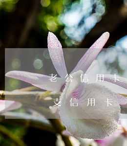 老公信用卡透支老婆的存款(老公背著妻子透支信用卡)