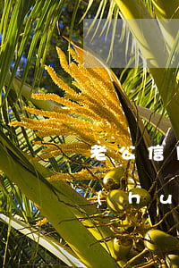 老公信用卡逾期三年后果(信用卡逾期三年會(huì)坐牢嗎)