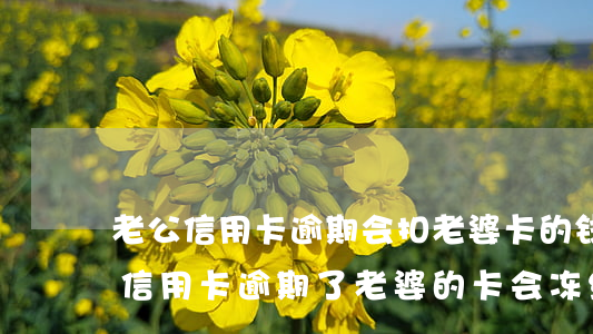 老公信用卡逾期会扣老婆卡的钱吗-老公的信用卡逾期了老婆的卡会冻结吗