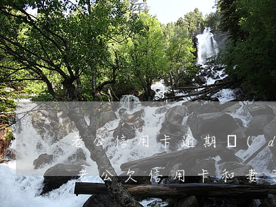 老公信用卡逾期對(duì)妻子有影響嗎(老公欠信用卡和妻子有關(guān)嗎)