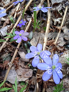 老公信用卡逾期對(duì)小孩有影響嗎-老公信用卡逾期對(duì)小孩有影響嗎知乎