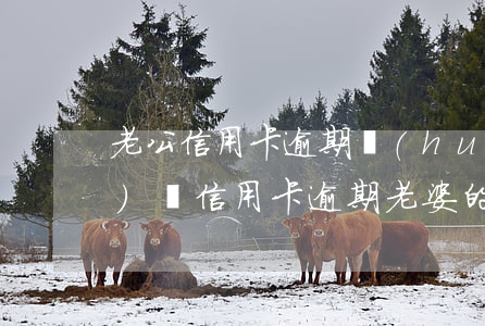 老公信用卡逾期會(huì)凍結(jié)嗎(信用卡逾期老婆的銀行卡會(huì)被凍結(jié)嗎)