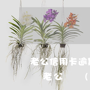 老公信用卡逾期會(huì)查封老婆車子嗎(老公債務(wù)會(huì)查封老婆銀行卡嗎)