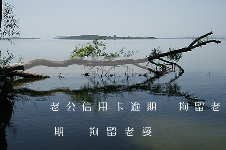 老公信用卡逾期會拘留老婆嗎(老公信用卡逾期會拘留老婆嗎)