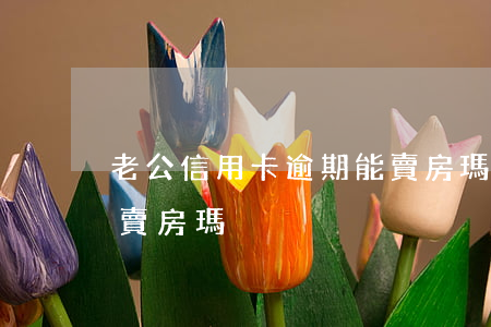 老公信用卡逾期能賣房瑪(老公信用卡逾期能賣房瑪)