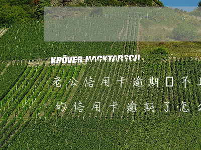 老公信用卡逾期還不上怎么辦(老公坐牢了他的信用卡逾期了怎么辦)