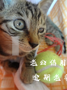 老公信用卡逾期還可以貸款嗎(老公有信用卡逾期老婆能貸款嗎)