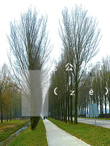 老公借了網(wǎng)貸還不上老婆有責(zé)任嗎-老公借了網(wǎng)貸還不上老婆有責(zé)任嗎說說