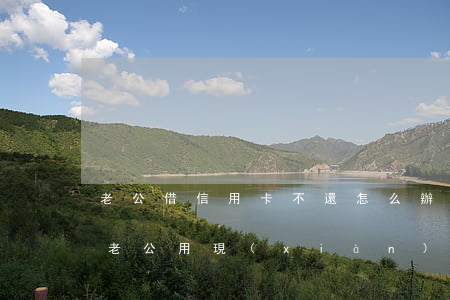 老公借信用卡不還怎么辦(老婆把信用卡借給老公用,現(xiàn)在不還,怎么辦)