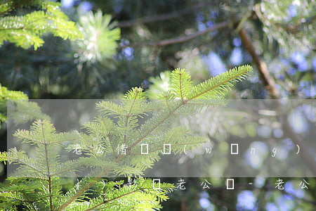 老公借唄網(wǎng)商貸逾期會(huì)影響老公嗎-老公借唄網(wǎng)商貸逾期會(huì)影響老公嗎知乎
