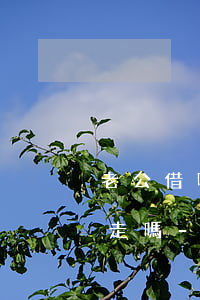 老公借唄逾期跟他卡上打錢(qián)劃走嗎-老公借唄逾期會(huì)起訴到老婆嗎