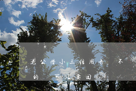 老公借小三信用卡錢不還(小三刷老公信用卡的錢可以要回來)