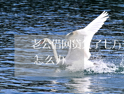 老公借网贷欠了七万多(老公欠了六万多网贷怎么办)