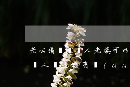 老公借錢給別人老婆可以去起訴嗎(老公借給別人錢老婆有權(quán)利追債嗎)
