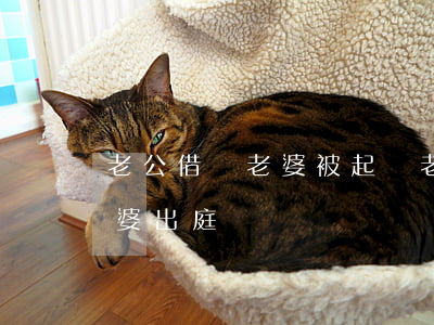 老公借錢老婆被起訴(老公借錢不還被起訴老婆出庭)