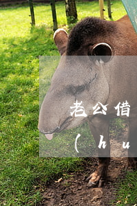 老公借錢起訴老婆嗎(老公借錢被告老婆也會(huì)一起被告嗎)