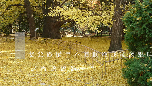 老公做错事不道歉冷战能离婚吗(和老公冷战是否该离婚)