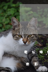 老公停息掛賬老婆有影響(老公停息掛賬老婆有影響)
