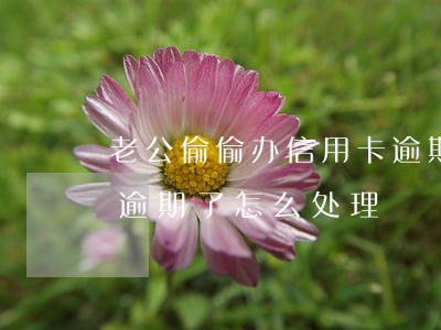 老公偷偷办信用卡逾期了(老公偷偷办信用卡逾期了怎么处理)