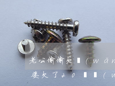 老公偷偷欠網(wǎng)貸20萬(背著老婆欠了20萬網(wǎng)貸)