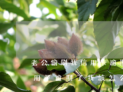 老公偷刷我信用卡逾期(我辦的信用卡被老公用了逾期了我該怎么辦)
