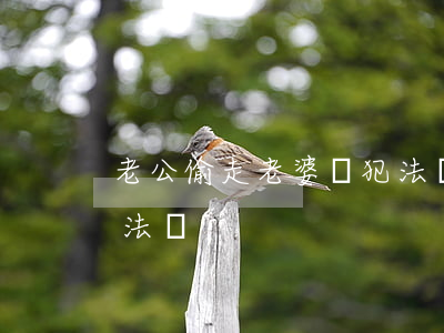 老公偷走老婆錢犯法嗎(丈夫偷拿妻子的錢違法嗎)
