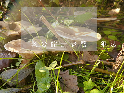 老公偷走老婆錢犯法嗎(偷老婆的錢)