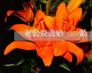 老公克妻必須離婚嗎(男人克妻離婚可以化解嗎)