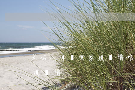 老公八年沒回家想離婚咋辦(丈夫常年不在家想離婚)