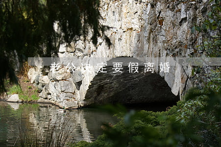 老公决定要假离婚