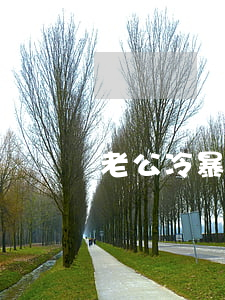 老公冷暴力想离婚