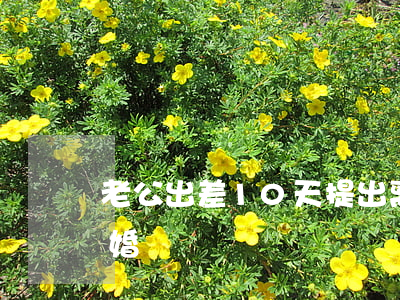 老公出差10天提出离婚(老公整天出差想离婚)