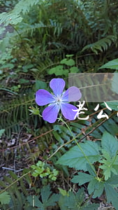 老公出差不在家該離婚嗎(老公常年在外出差)