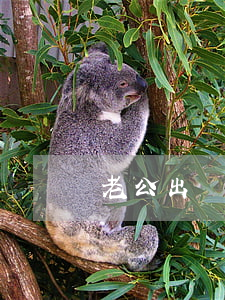 老公出軌不想離婚女方想離怎么辦