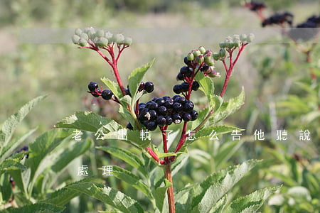 老公出軌了怎么告他(聽說老公出軌了該如何處理)